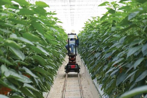 The right network technology can open doors to a new age of efficient, automated and sustainable farming photo: viasat